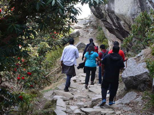 Trekatribe-西姆拉必去景点