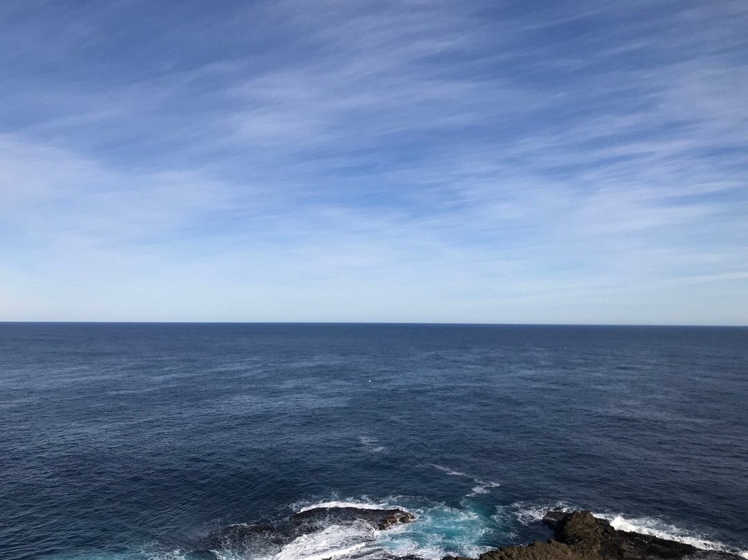 Cape Nelson State Park-波特兰必去景点