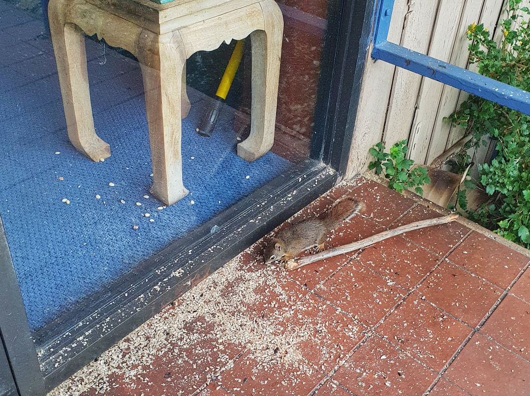 鲁真湖度假酒店&自然中心主图