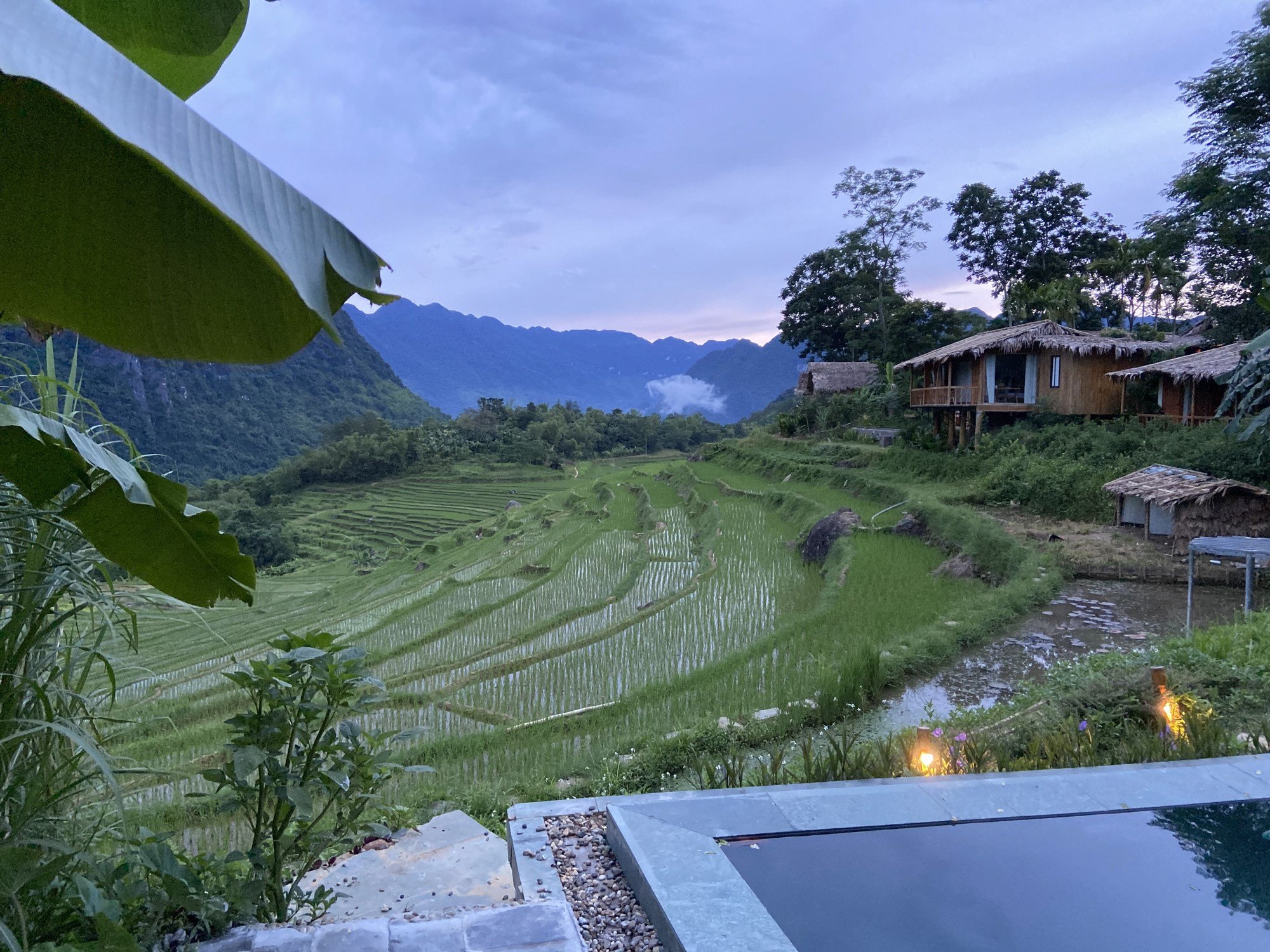 PuLuong Natura-泳池