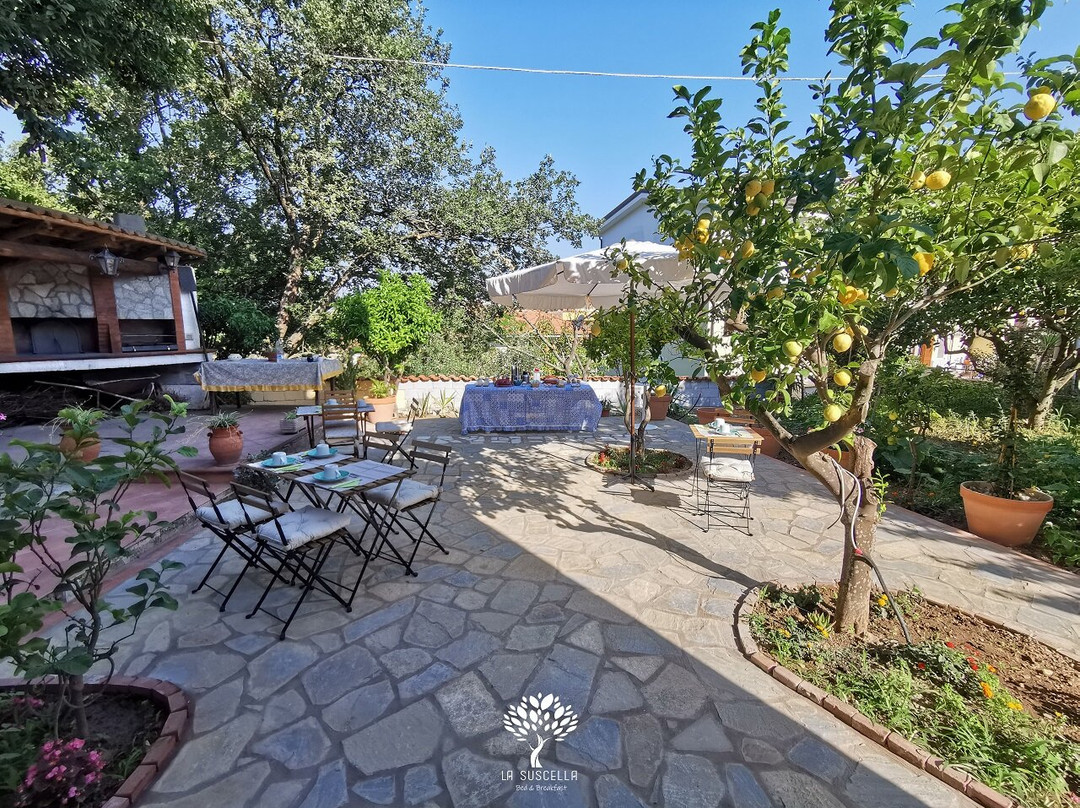 La Suscella Bed and Breakfast主图