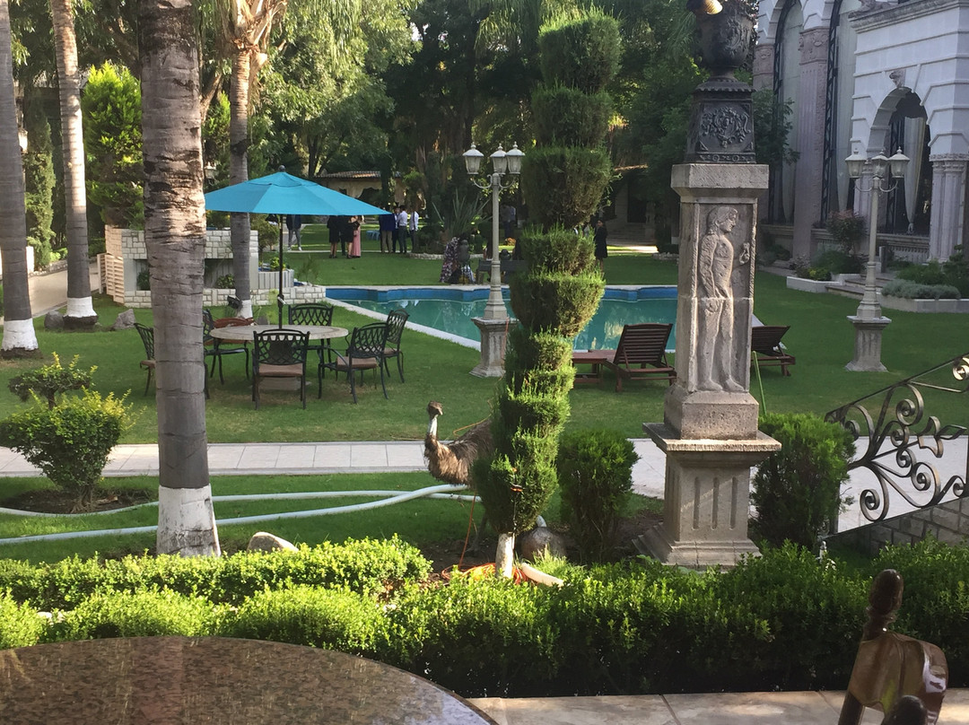 Hotel Villa Florencia主图