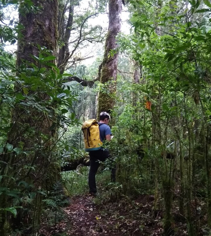 Adventure4Good-乌布必去景点