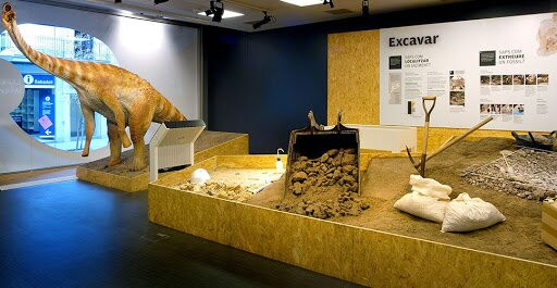 Museu de l'Institut Catala de Paleontologia Miquel Crusafont景点图片