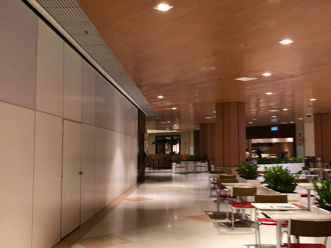 Shopping Ibirapuera景点图片