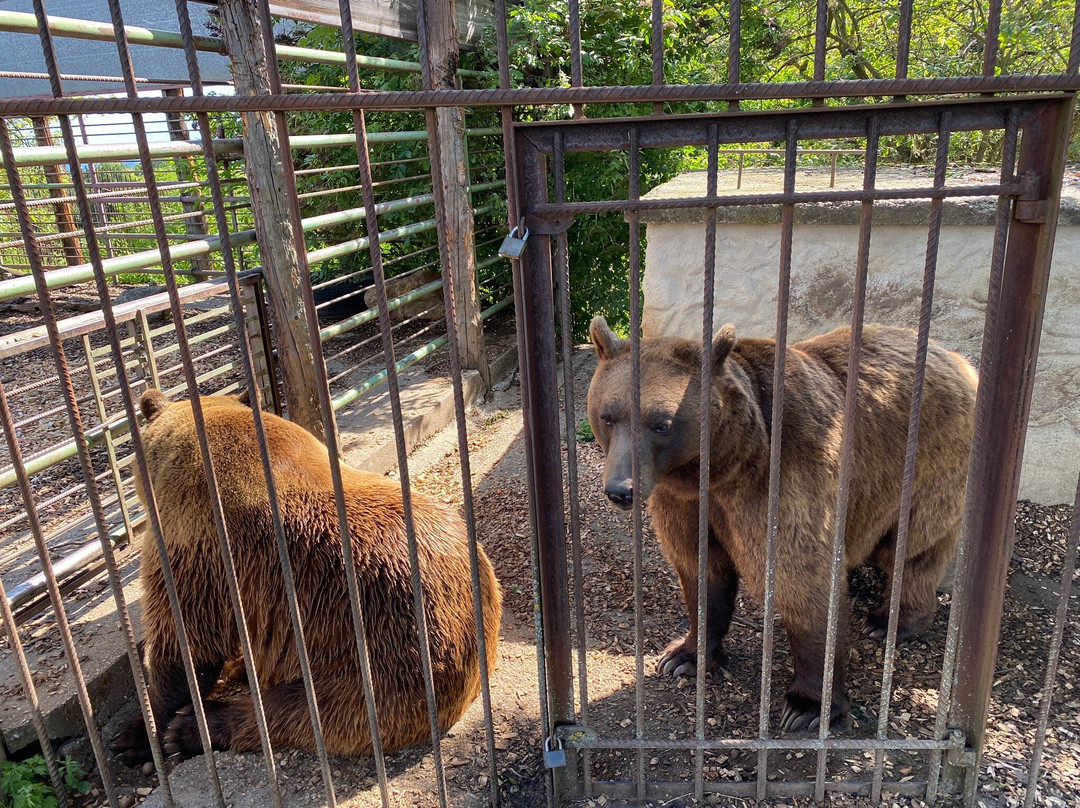 Bärenhof-Berghausen必去景点