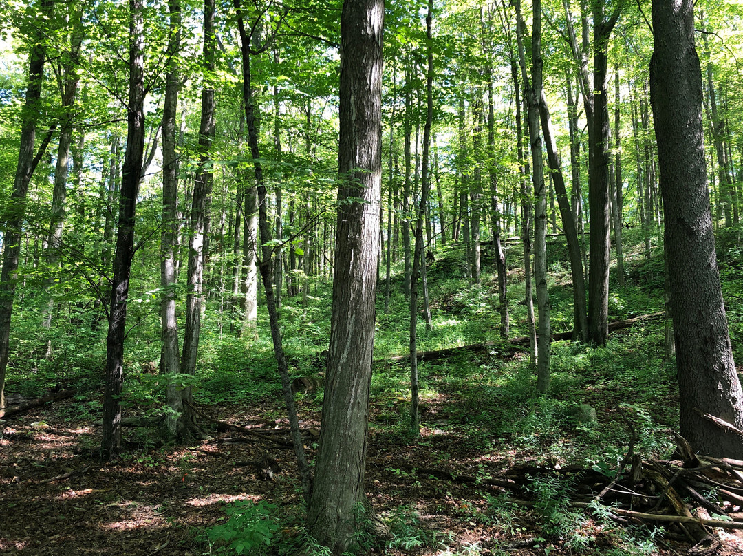 Rattlesnake Point Conservation Area-Milton必去景点