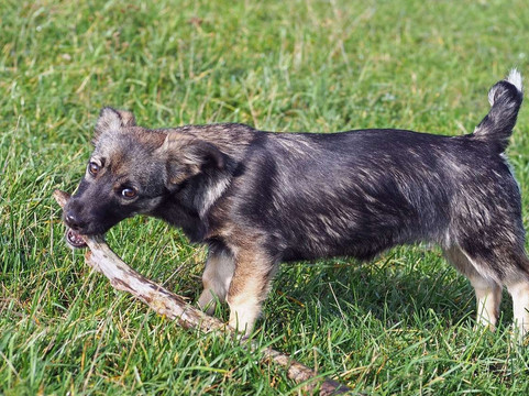 新港财富酒店及套房主图