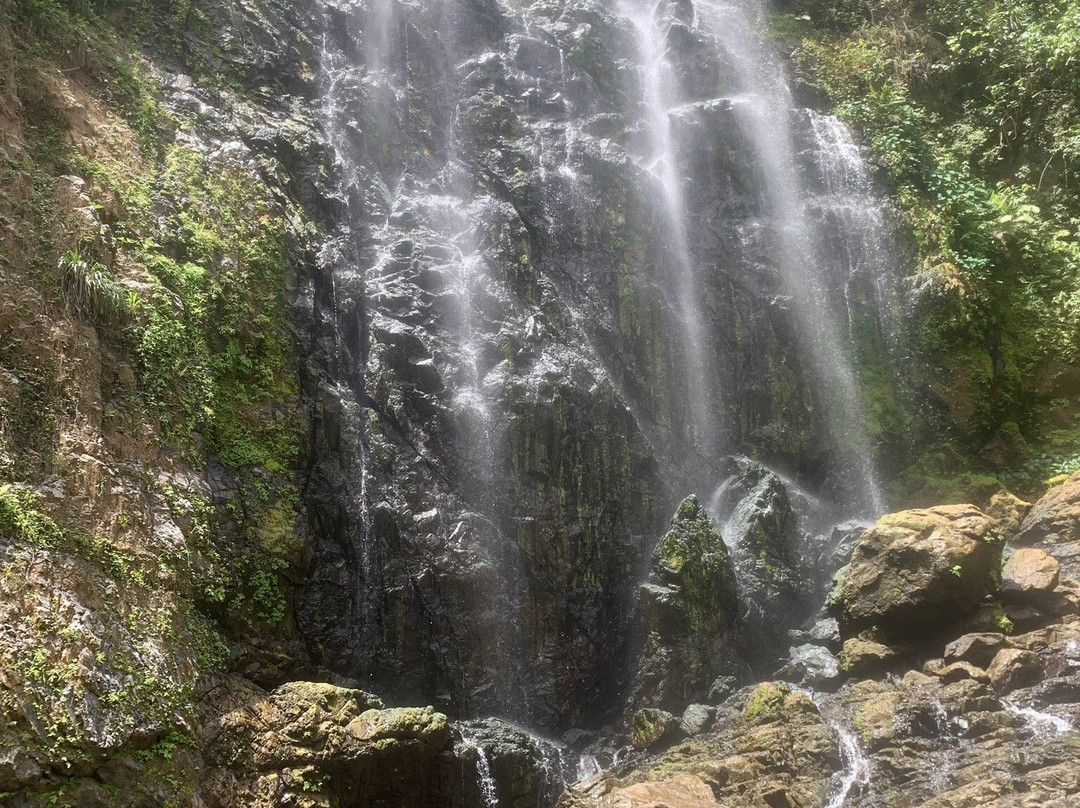 Jerrys Adventures-圣胡安必去景点