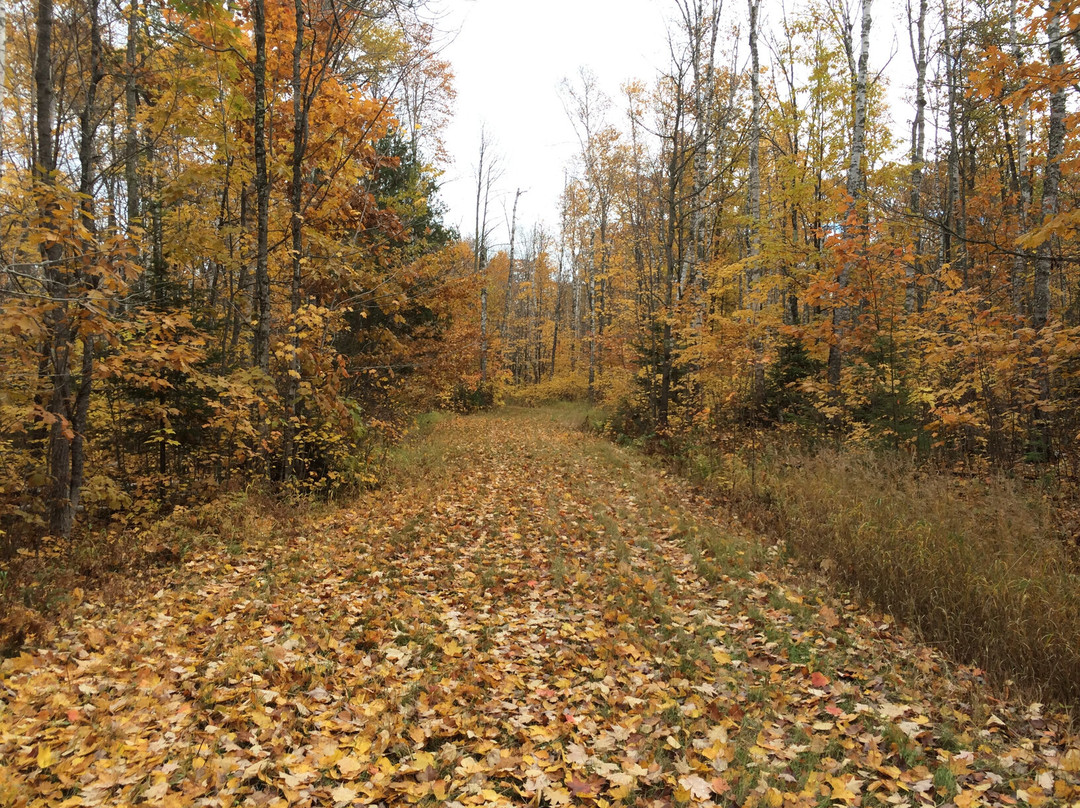 North End Trails景点图片