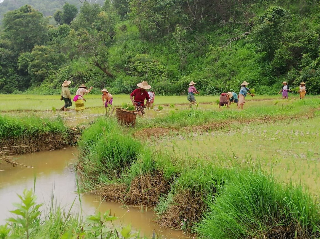 Lucky Flower Trekking Service-格劳必去景点