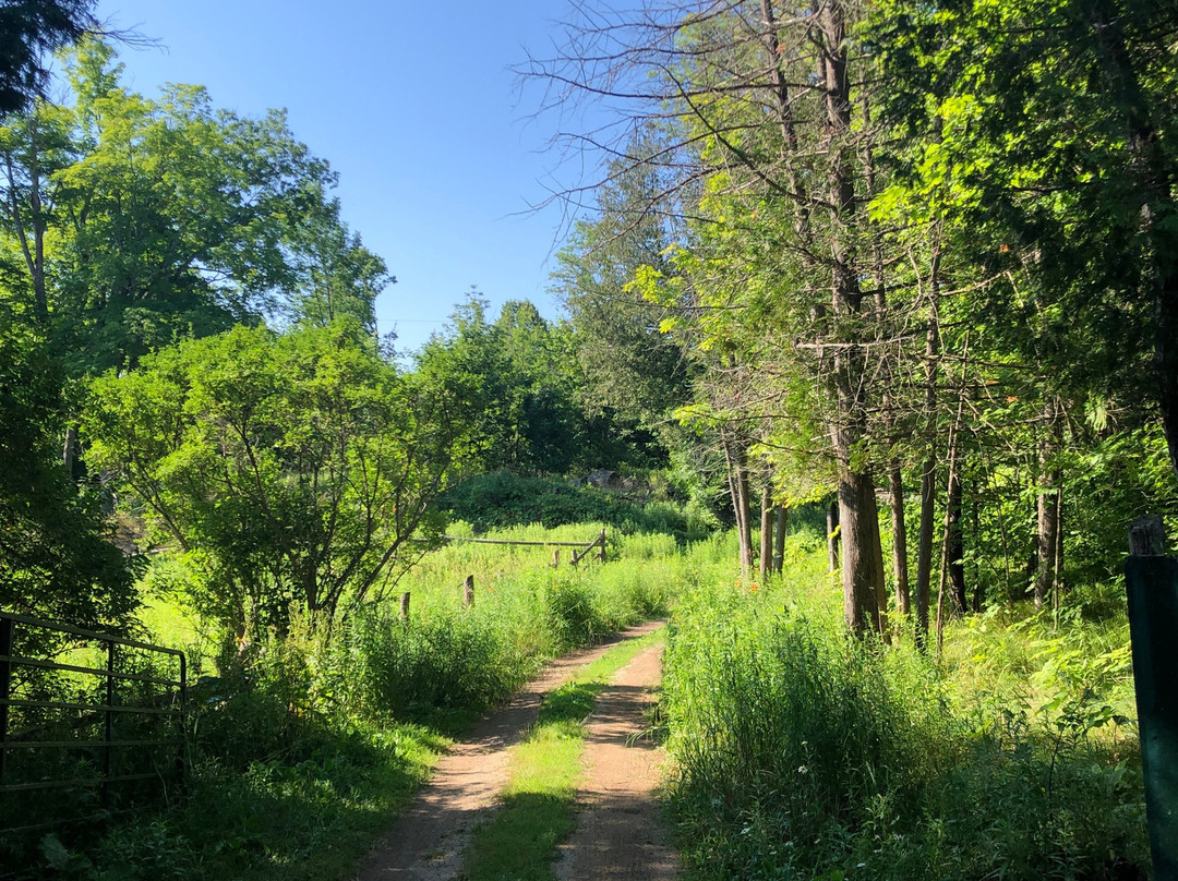 Viamede Resort主图