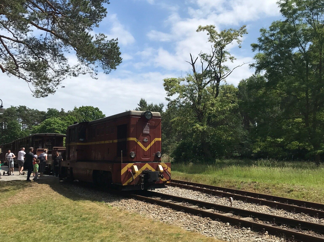 Nadmorska Narrow Gauge Railway景点图片