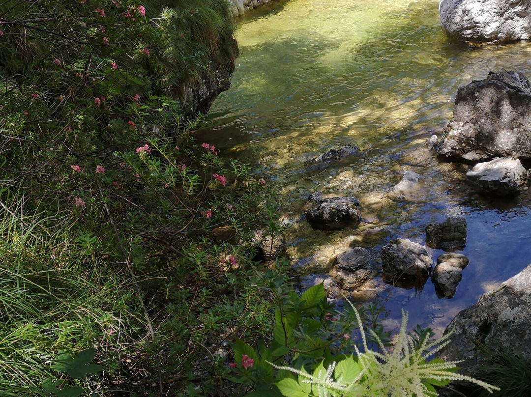 Cadini del Brenton景点图片