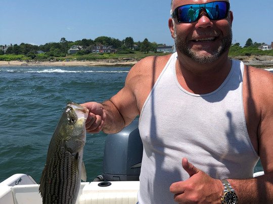 Fish Portland Maine-南波特兰必去景点