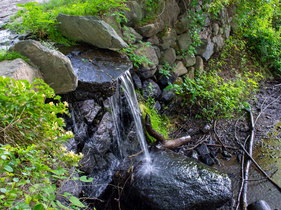 Rockefeller State Park Preserve景点图片