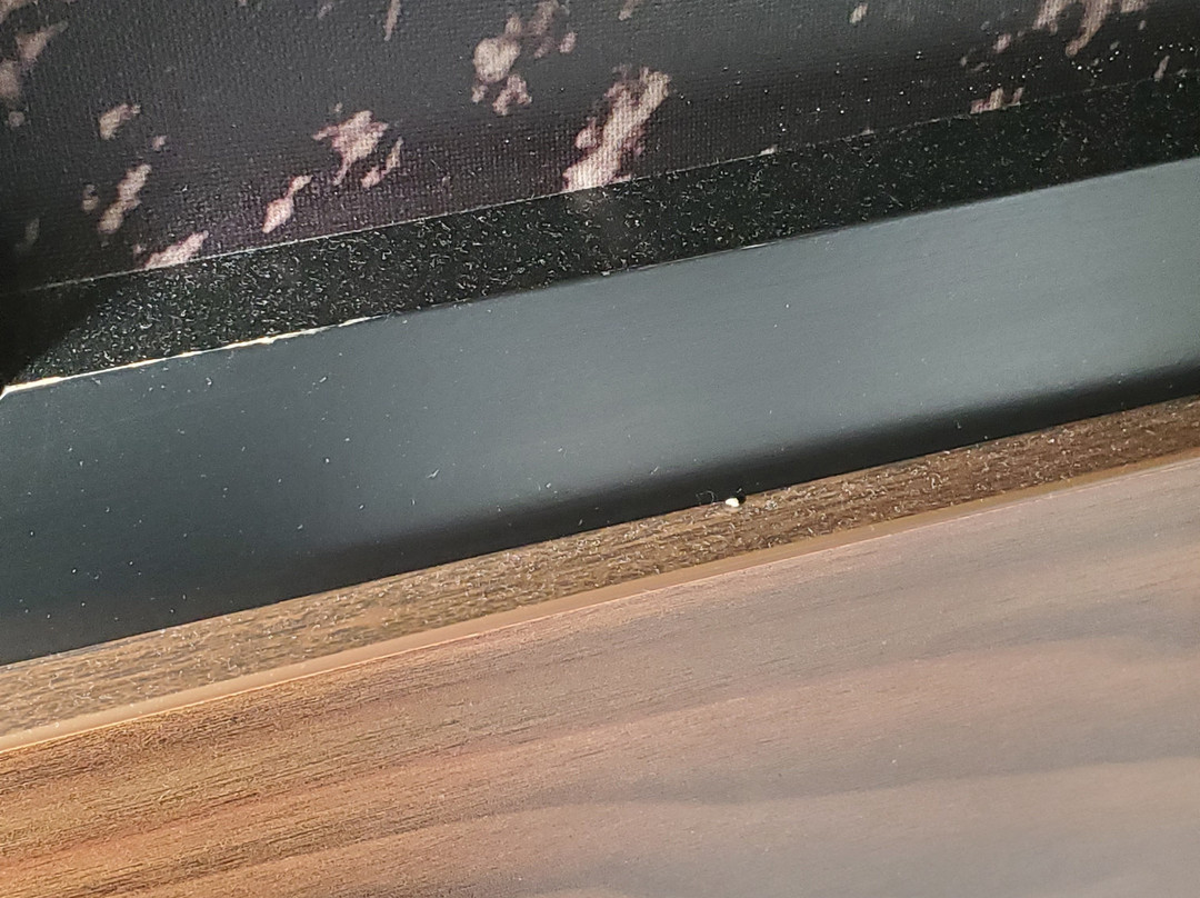 Super 8 by Wyndham Salina主图