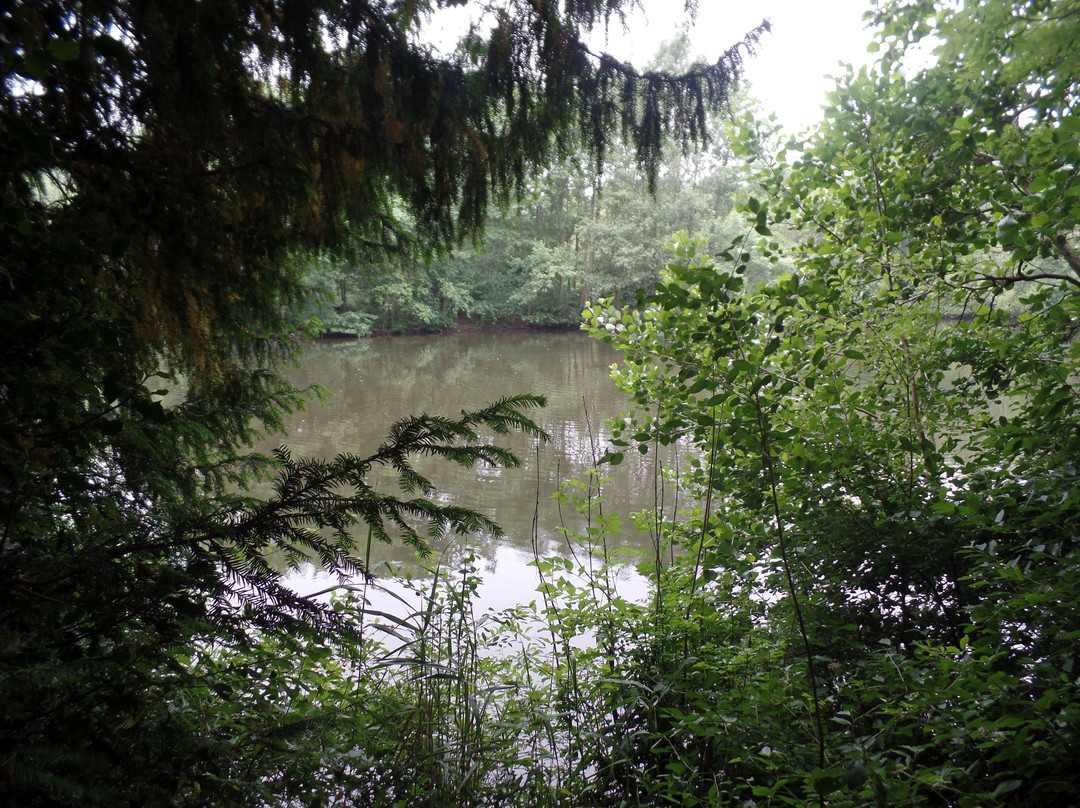 Elvaston Local Nature Reserve-Elvaston必去景点