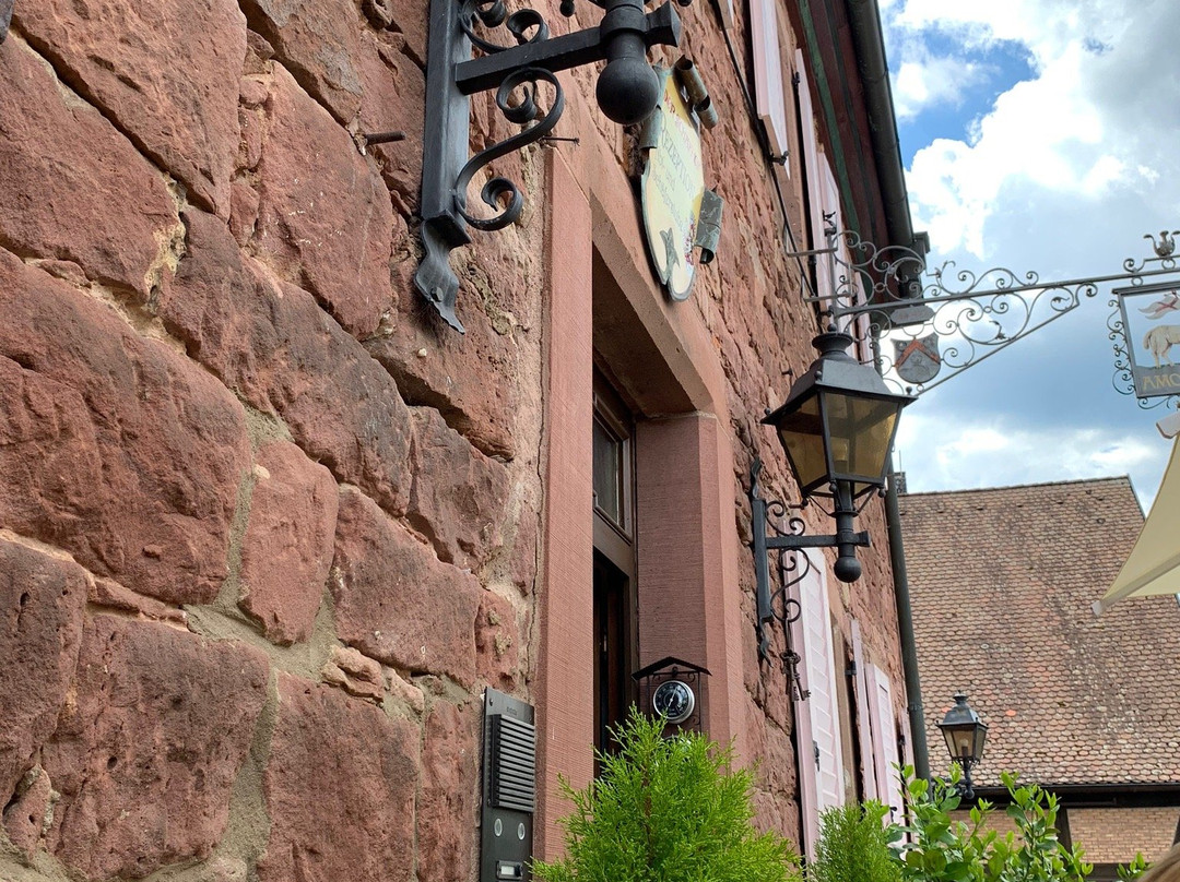 Landhotel Der Schafhof Amorbach主图