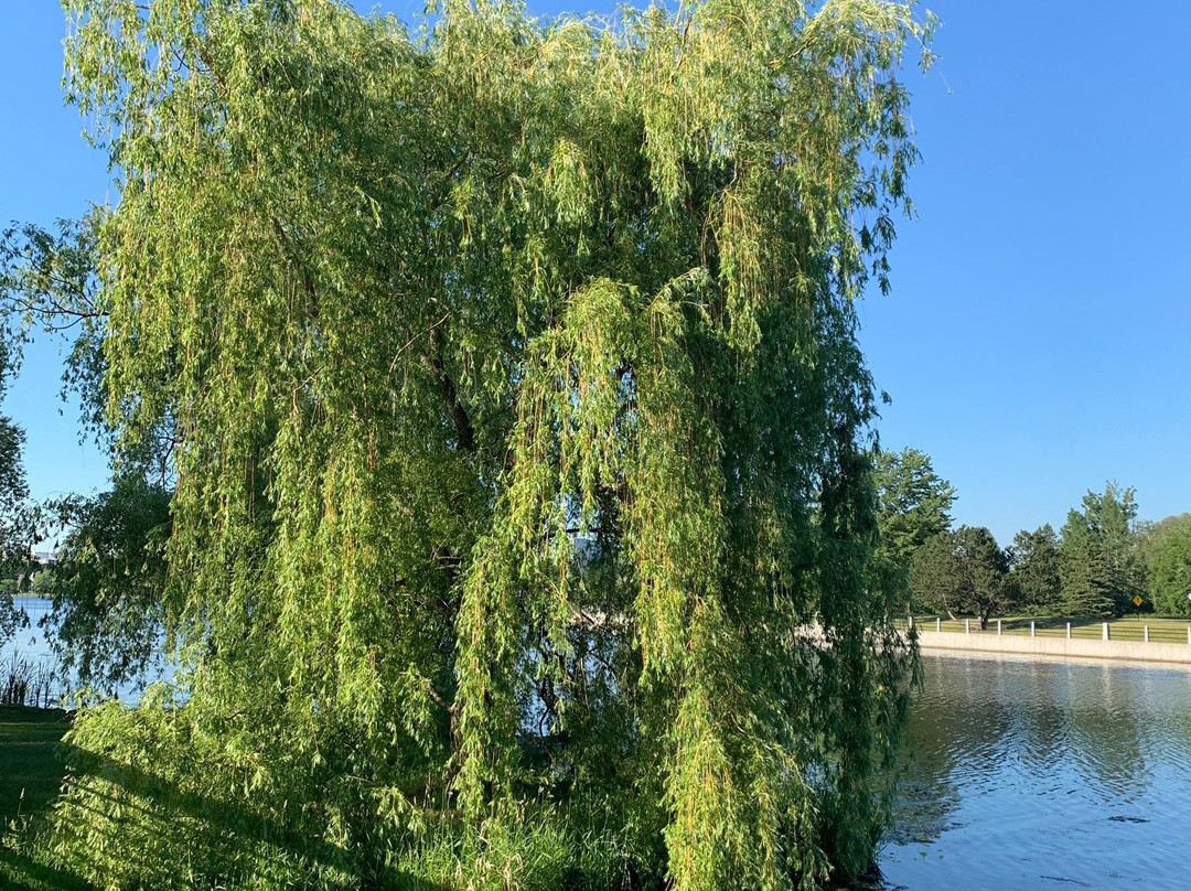 Central Experimental Farm-渥太华必去景点