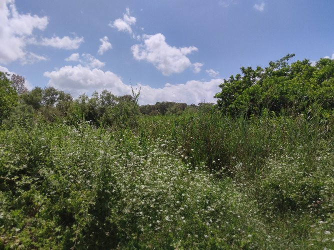 Shvil Nakhal Na'aman-Qiryat Bialik必去景点