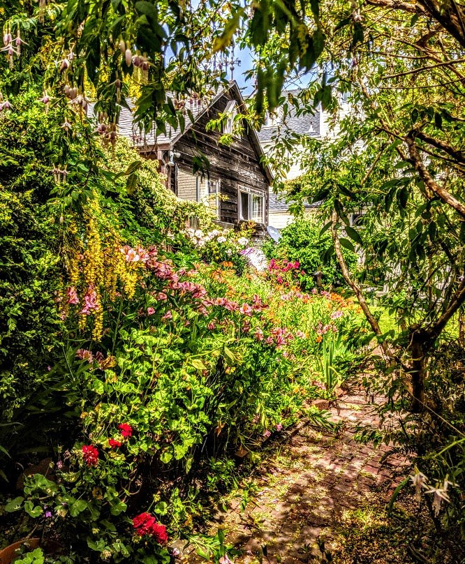 Seagull Inn Bed and Breakfast主图