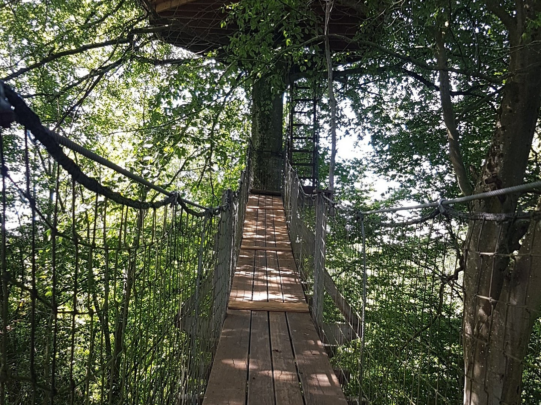 Wail旅游攻略图片