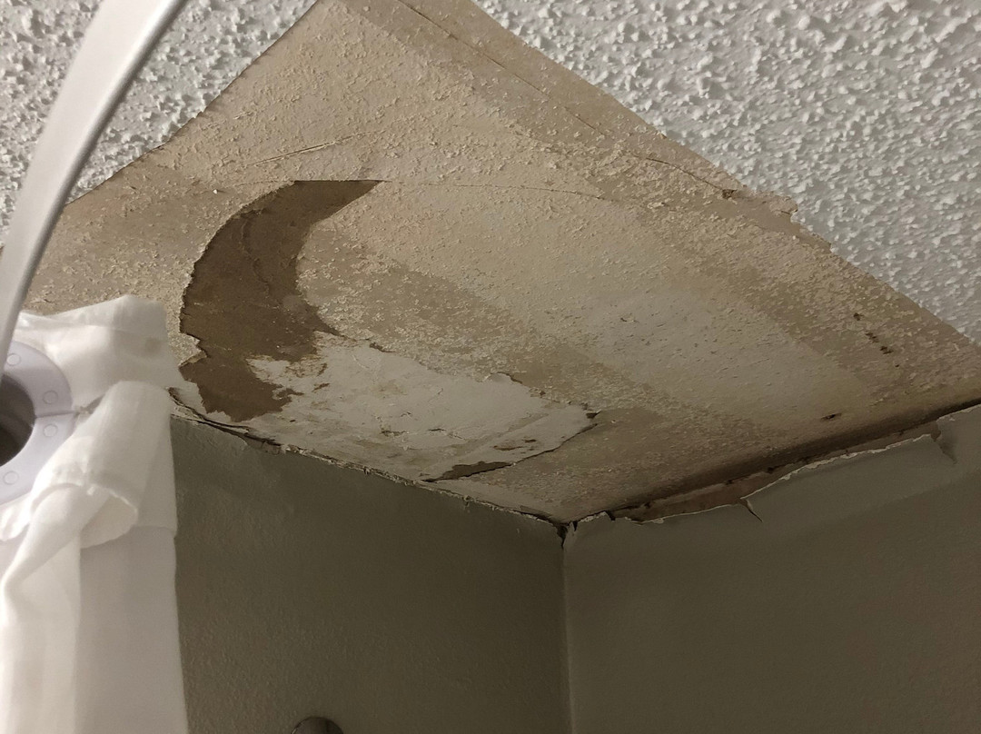 Super 8 by Wyndham Pierre SD主图