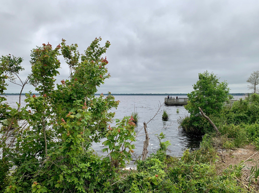 Great Dismal Swamp National Wildlife Refuge景点图片