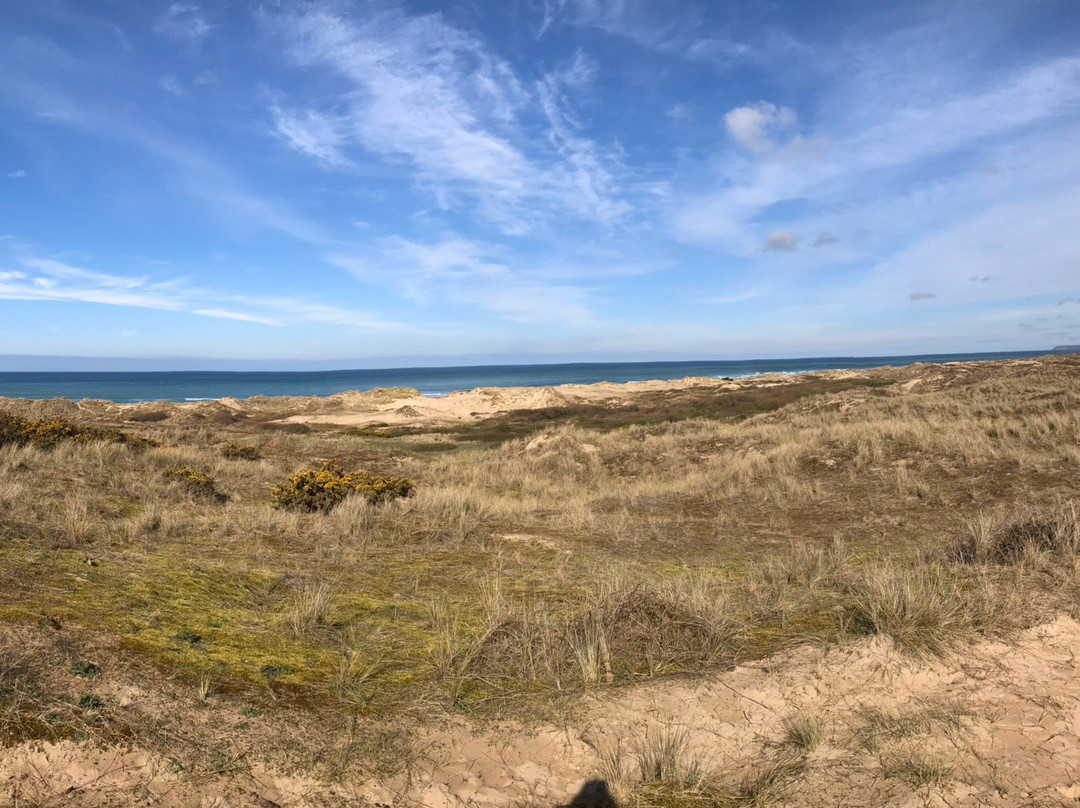 Dunes d'Hattainville景点图片