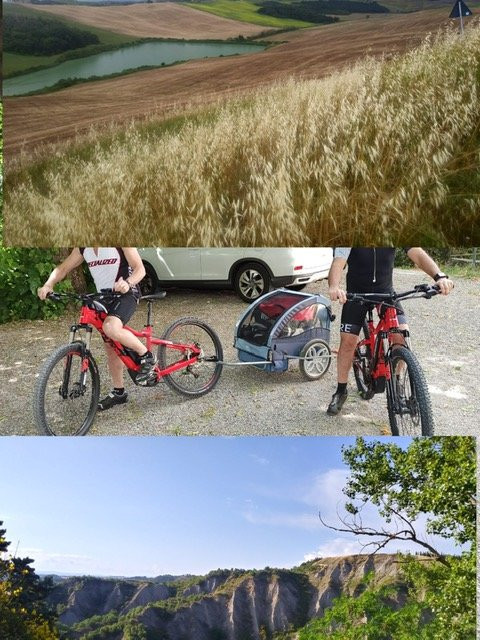 Chianti Bicycles景点图片