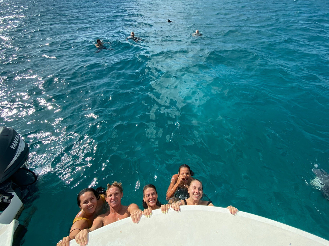 Hawaii Ocean Charters-火奴鲁鲁必去景点