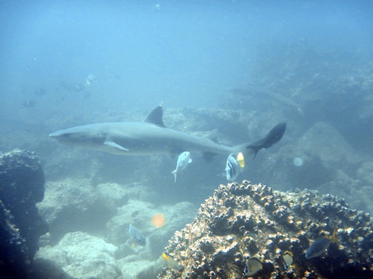 The Darwin Path - Travel Agency-阿约拉港必去景点