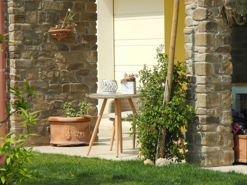 里拉含羞草民宿主图