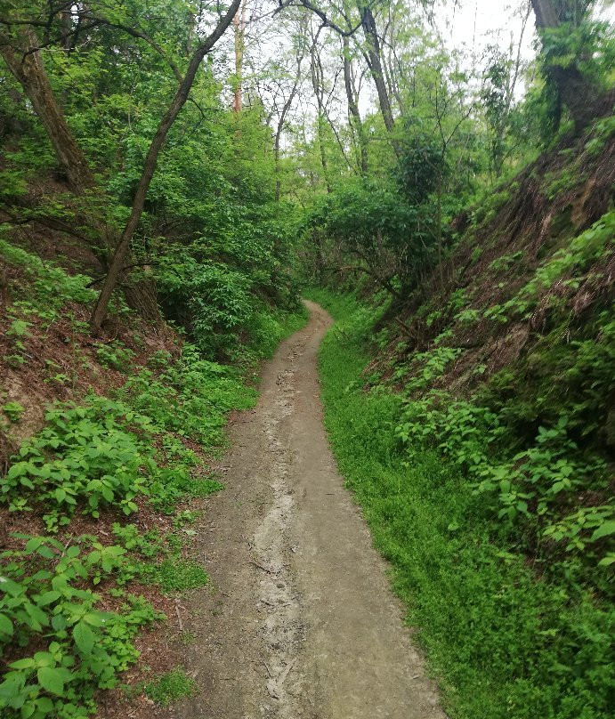 Historical and Cultural Reserve Trakhtemirov-Kaniv必去景点