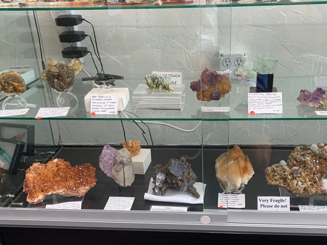 Pineapple Rocks-萨拉索塔必去景点