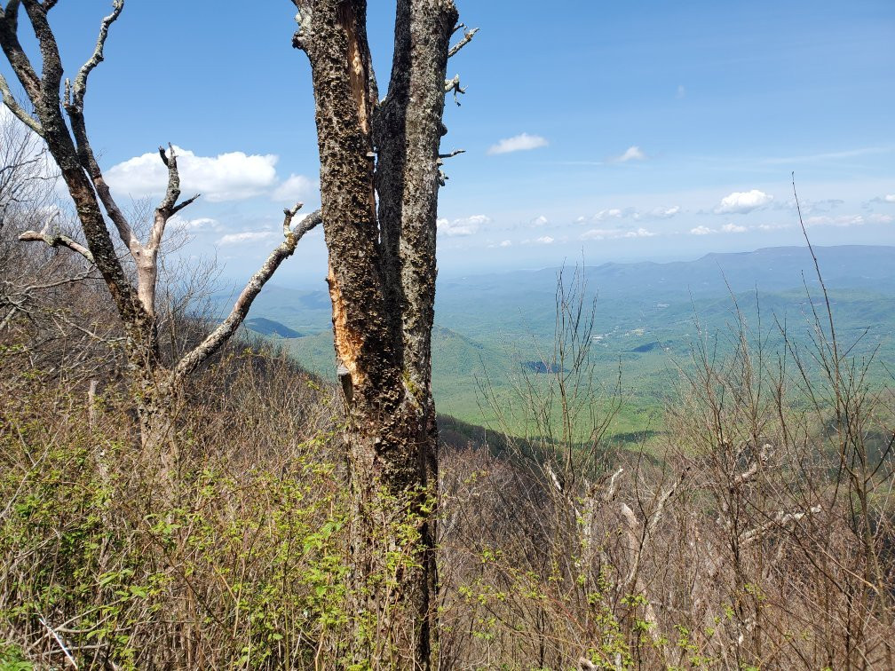 Mt Cammerer Fire Tower景点图片