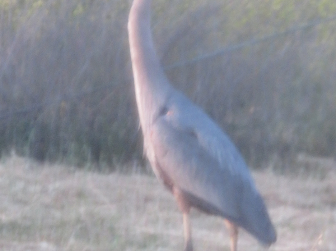 Jose Higuera Adobe Park-米尔皮塔斯必去景点