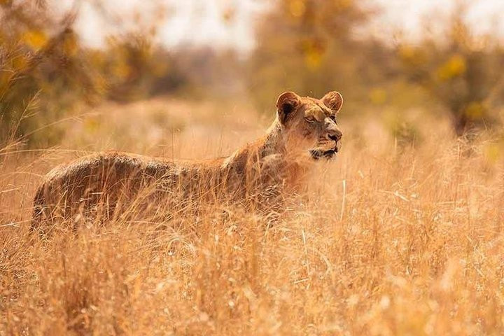 Tony Sparkes Wildlife and Photographic Safaris-霍德斯普鲁特必去景点