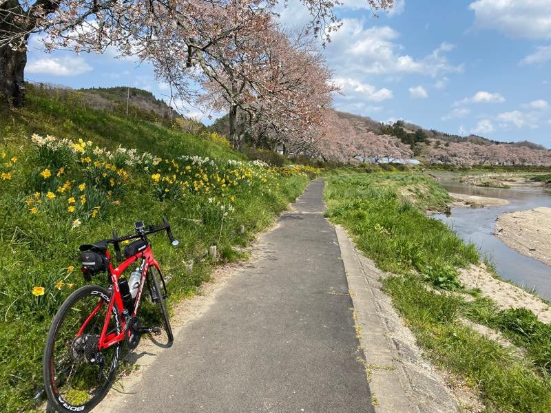 Natsui Sembong Sakura-小野町必去景点