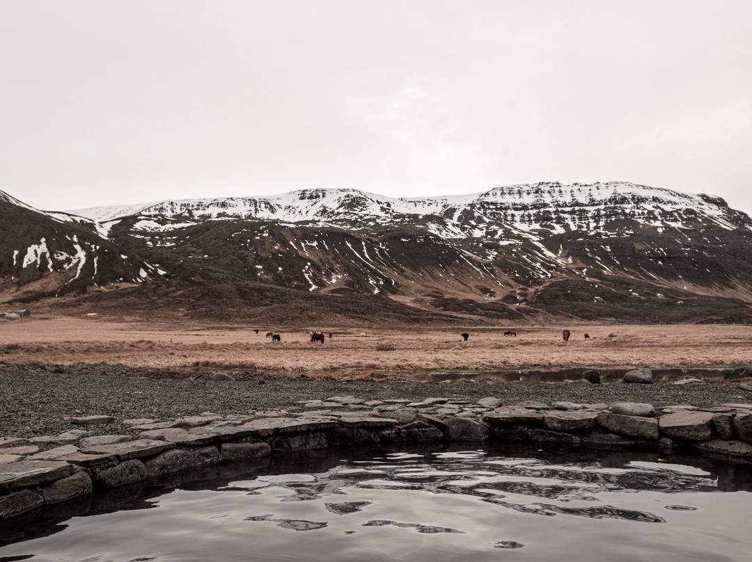 Grettislaug-Saudarkrokur必去景点