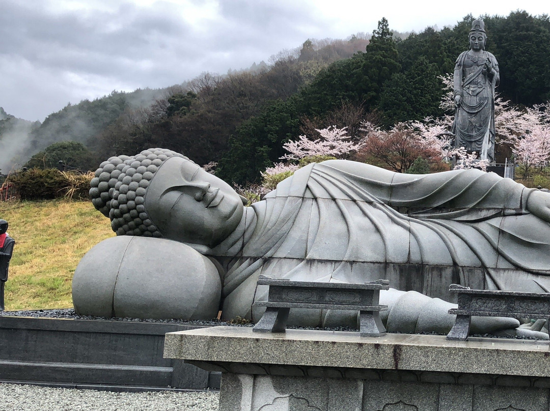 Tsubosaka Temple Dainehan Sekizo景点图片