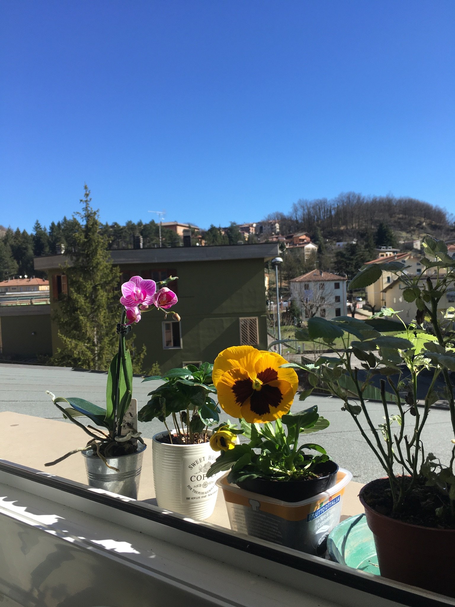 Hotel Ferro Di Cavallo-酒店景观