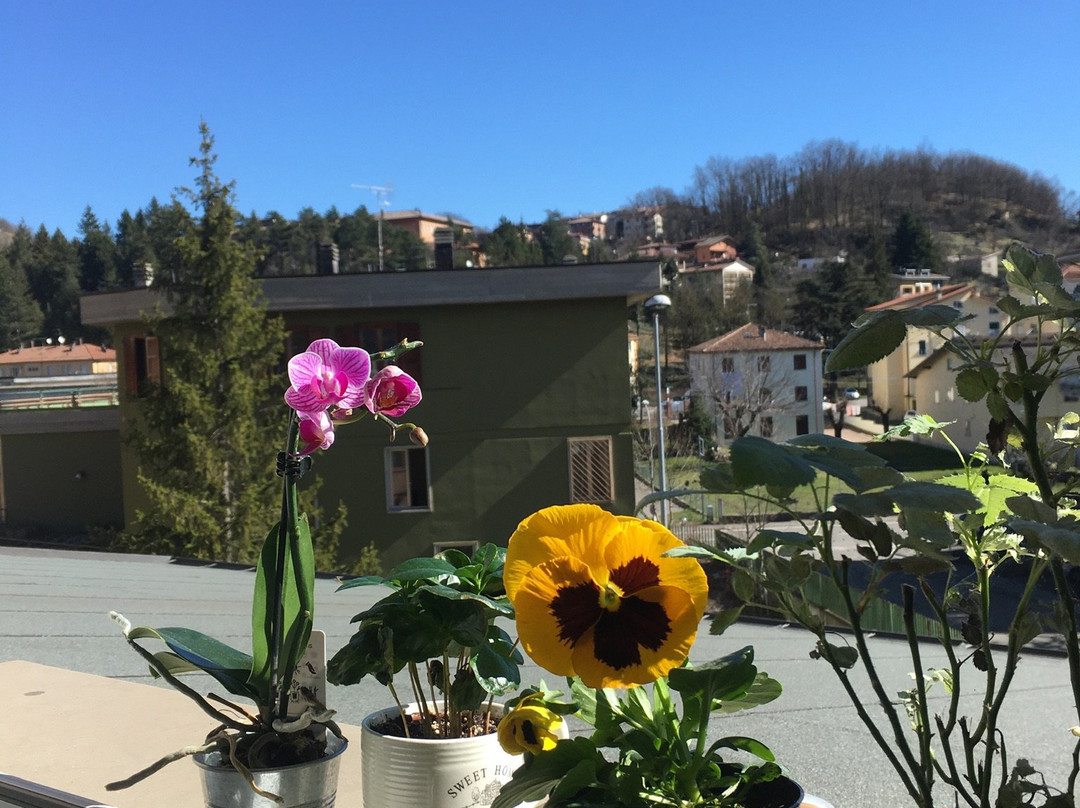Hotel Ferro Di Cavallo主图
