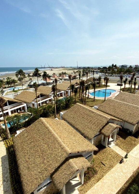 Oro Verde Manta主图