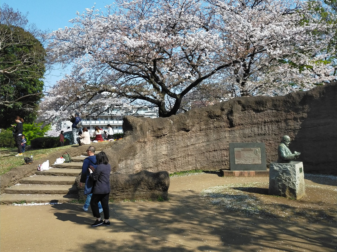 大森贝冢遗迹庭园-品川区必去景点