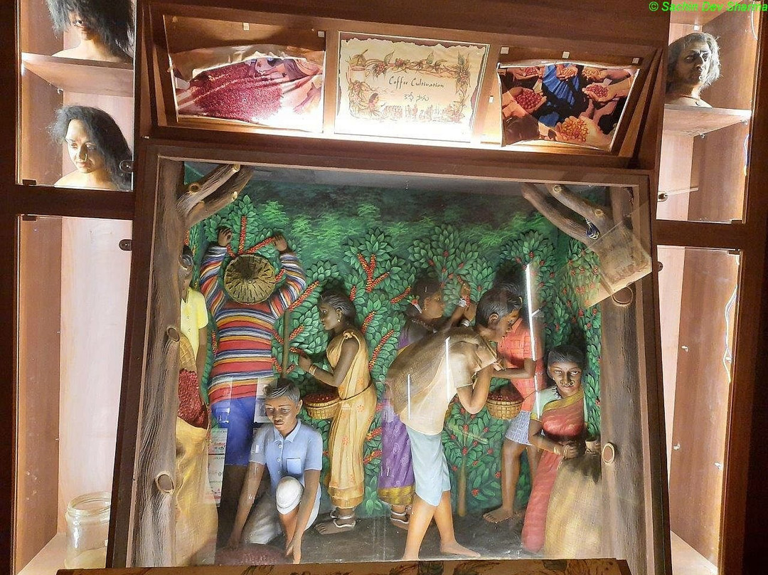 Coffee Museum-Araku Valley必去景点