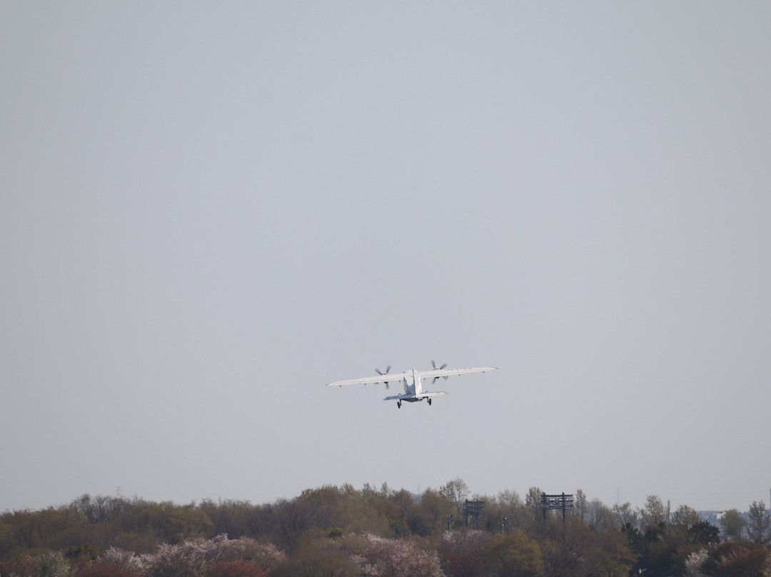 Musashinonomori Park-府中市必去景点