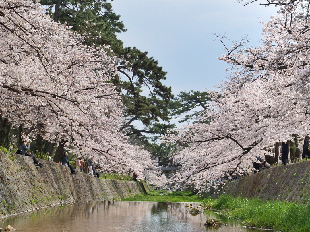 Shukugawa Park-西宫市必去景点