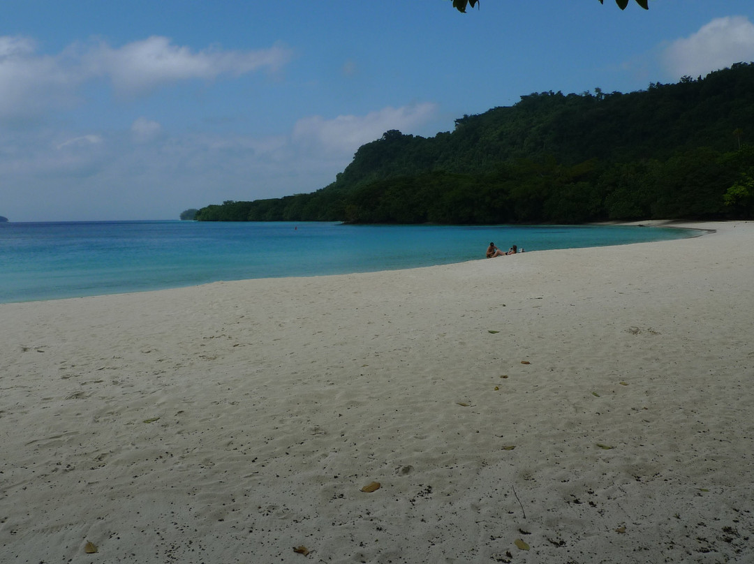 Champagne Beach-埃斯皮里图桑托岛必去景点